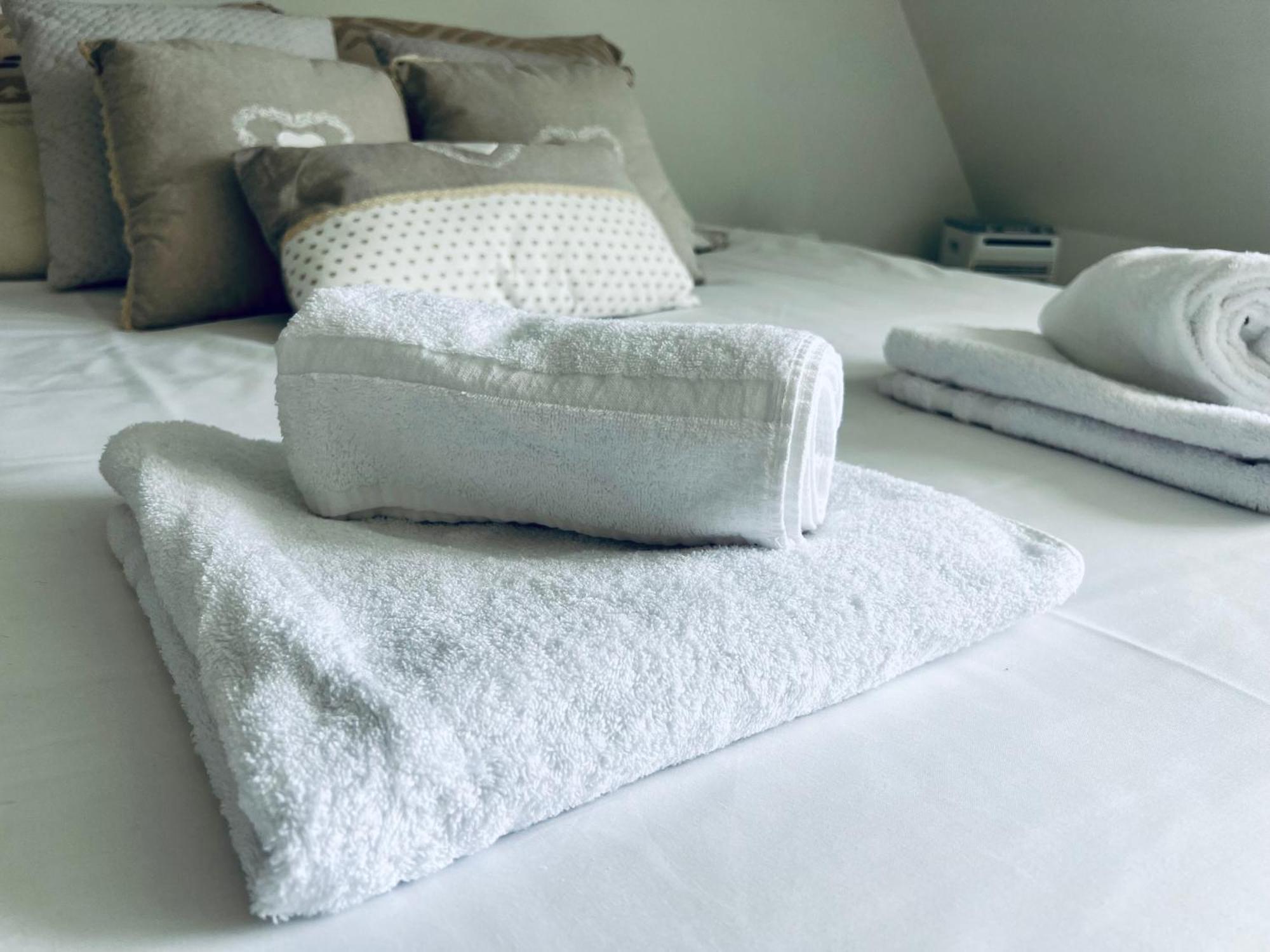 Le Manamour, Style Appart Hotel A 10 Min De Nevers Garchizy エクステリア 写真